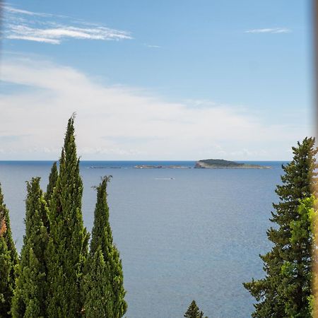 Apartments Villa Silvana Mlini Dış mekan fotoğraf
